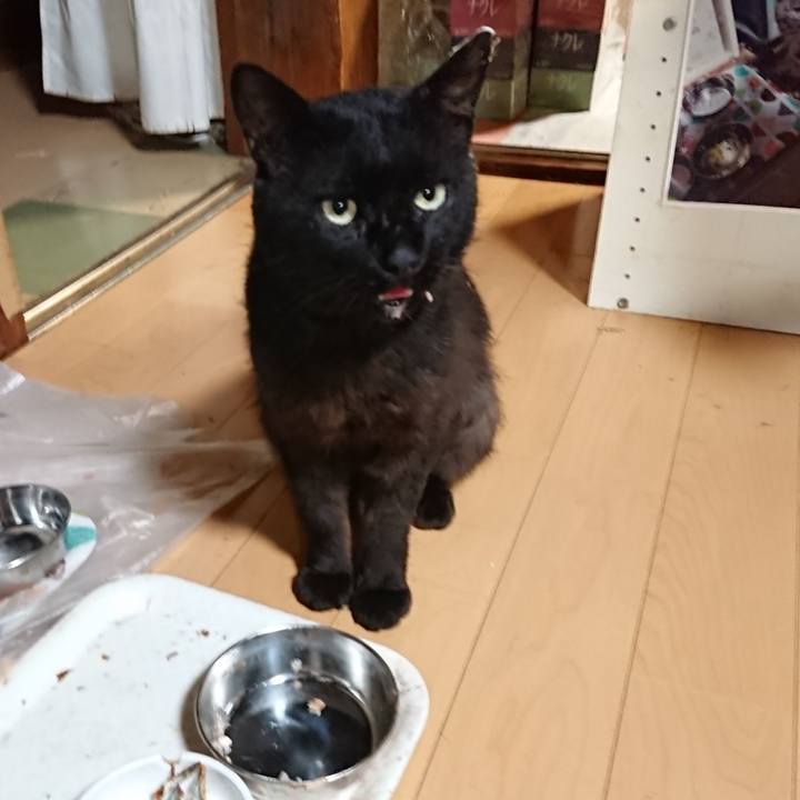 97f7cdf7 de40 4715 adf6 bbd2da29a28f 1625053605752