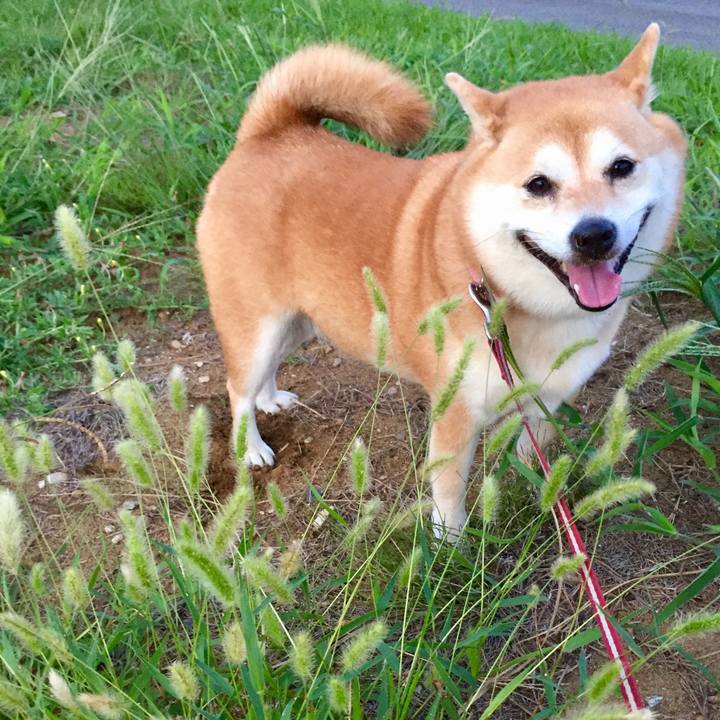 97f80941 3266 4af5 b389 3512fc7f00e4 1567804011707