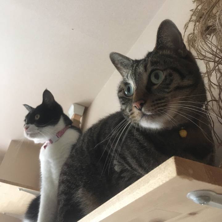 97f82bca 1906 4944 a428 2f884ef3f801 1576586353996