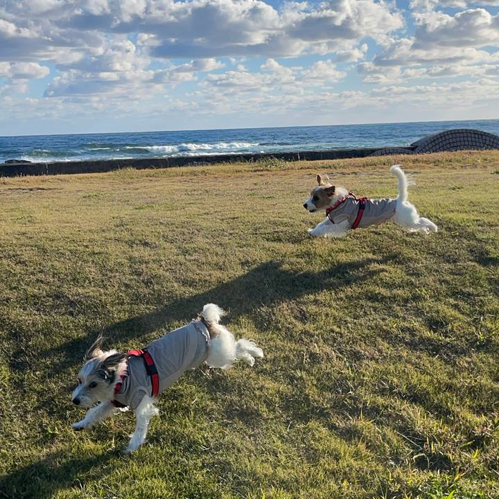 97f82f47 63bf 43a0 ab92 22fb51845f61 1764853581254