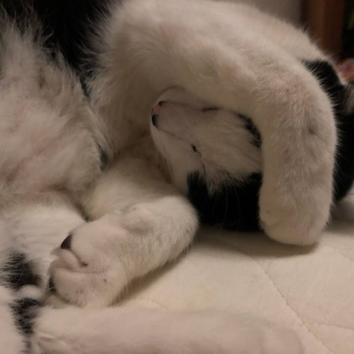 97f86a51 37dd 4f55 9c85 11b9cd90b662 1560083087068