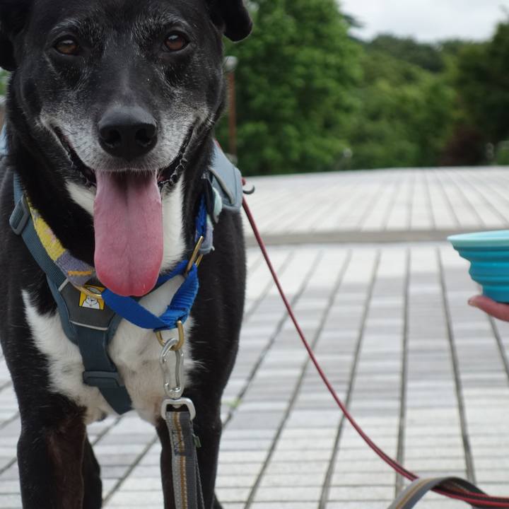 97f87387 e8f8 4afa 8d89 7f58cdbb45aa 1750032734818