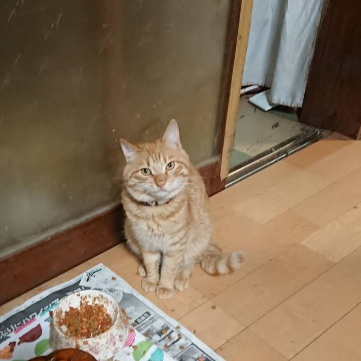 97f87fb9 d425 422b bc22 2a8526a7f45d 1652957306525