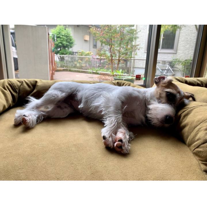 97f8a310 e492 4a40 811a 3c01d8e4c49f 1602928415913