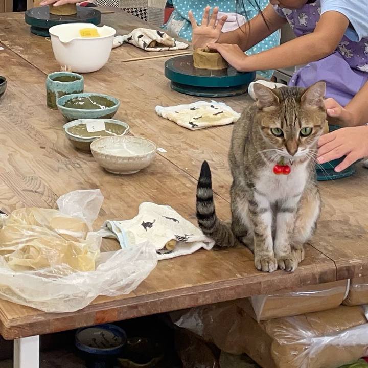 97f8a943 a56d 4e0c b677 7de98719f459 1721901304959