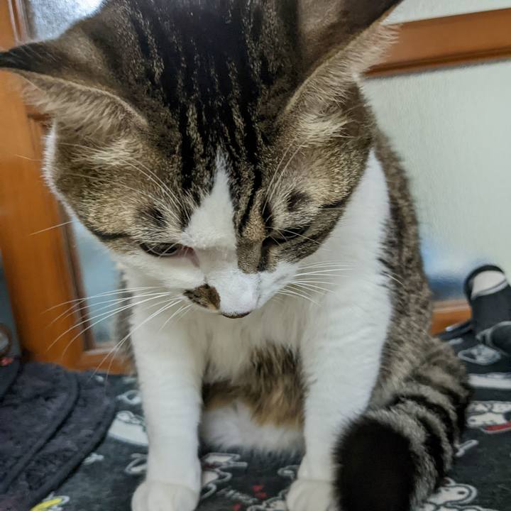 97f95800 3bb9 4e0f a55b 33ac0716e76e 1669471334527