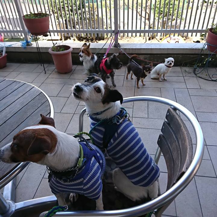 97f9852c 66d0 4683 a825 2908a96ad1ef 1585019640691