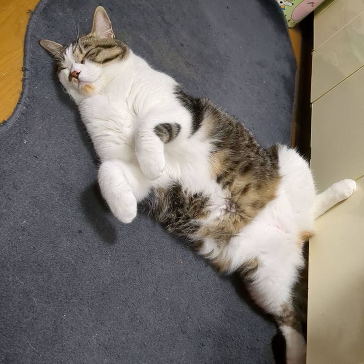 97f99b9c d76a 4519 81e6 9f5fb40d2281 1686829543571