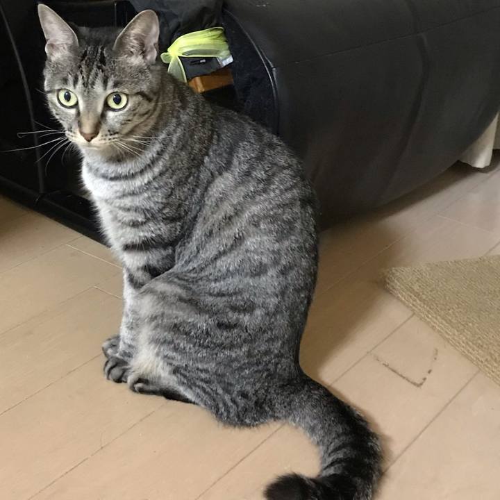 97f9d15f eed9 488e 8afa e9dc766c4b78 1600780526193