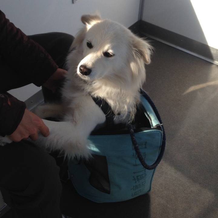 97f9d769 0db8 4725 8489 ac5380b4df5c 1510654195008