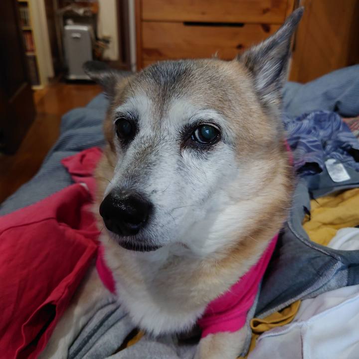 97f9eccb 2e4a 4666 916d a95751212e67 1701329129543