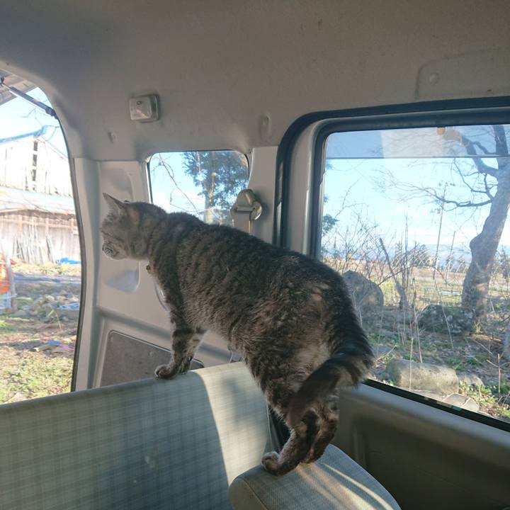 97fa21de 9aa7 4c49 a936 be3ded84207d 1584257011494