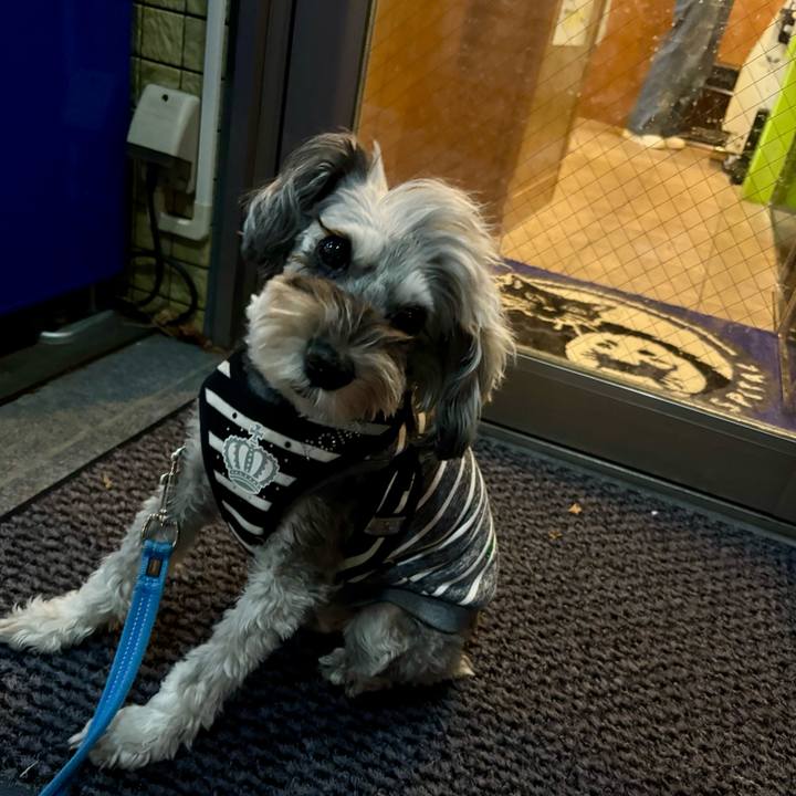 97fa64d8 5eea 4533 a0ef 764b435fee12 1763202072398