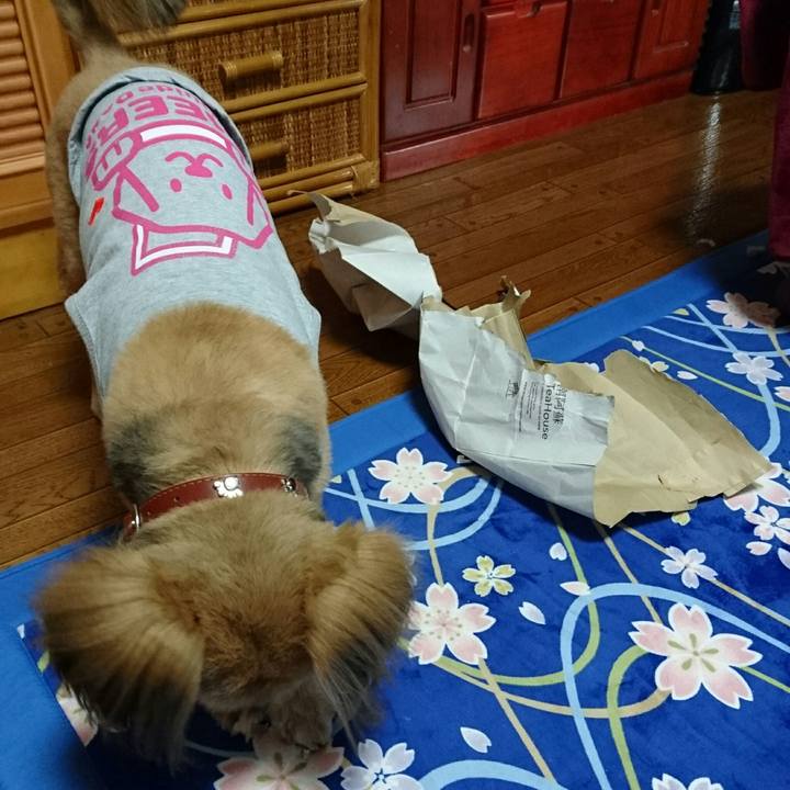 97fa80df 9a30 4b68 baf1 a66a5432784f 1519769678824