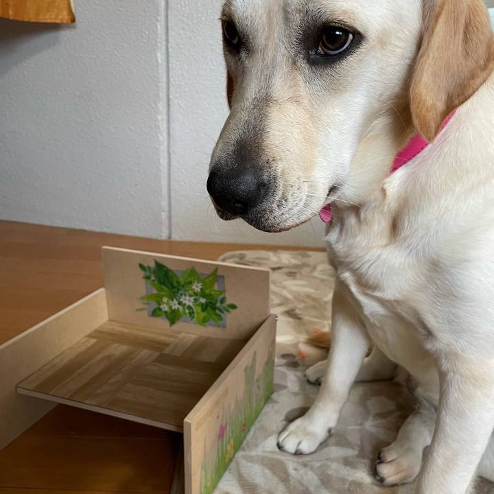 97fa9ce4 aa61 4dff b939 33a0318cb501 1634029331941