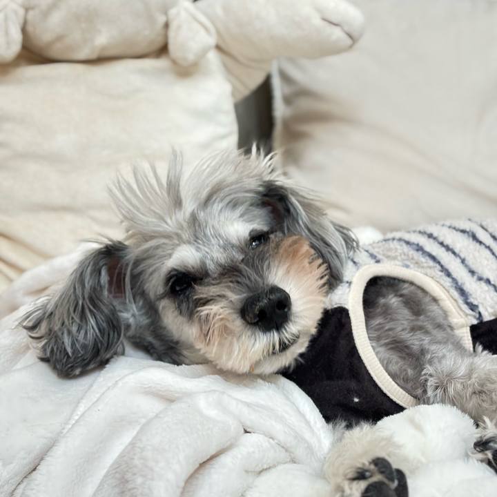 97fae1f7 07be 49a3 bf8d 9e20577ffc7a 1762310264078