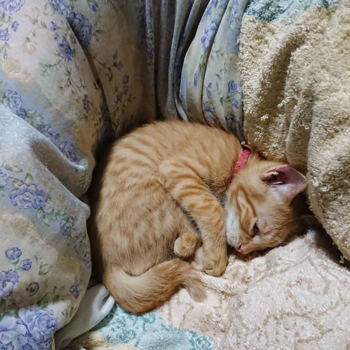 97fb015d 2ae0 4b2f aafe 907f9669d92f 1631797111859