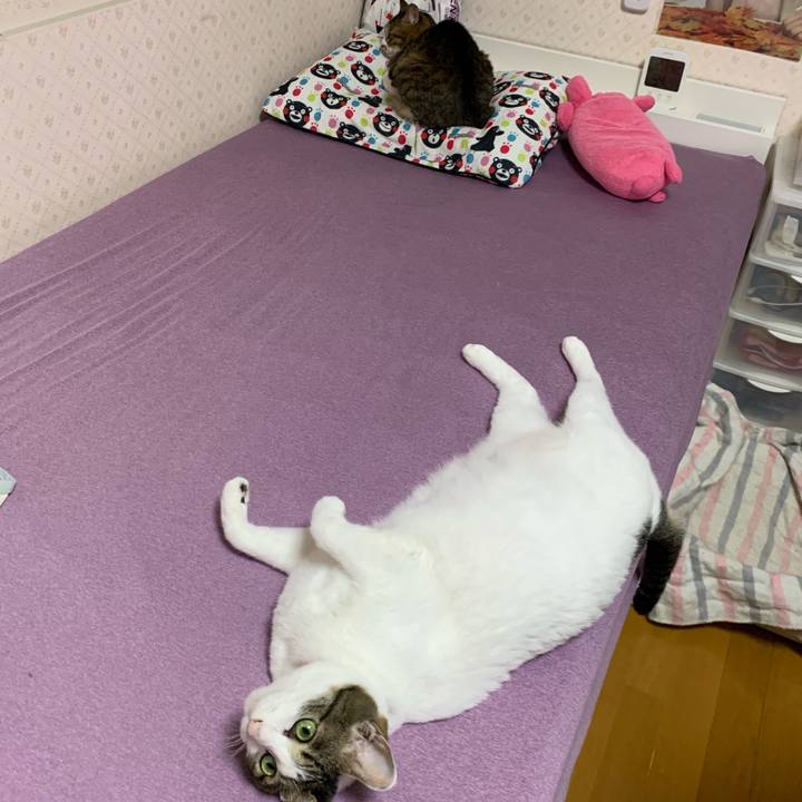 97fb1ab6 bce2 4546 a1a8 6b5ace3bf860 1623849628567