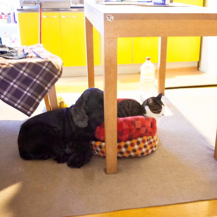 97fb6bd2 ec20 4e54 a431 08e0b8e09ae7 1608616905217