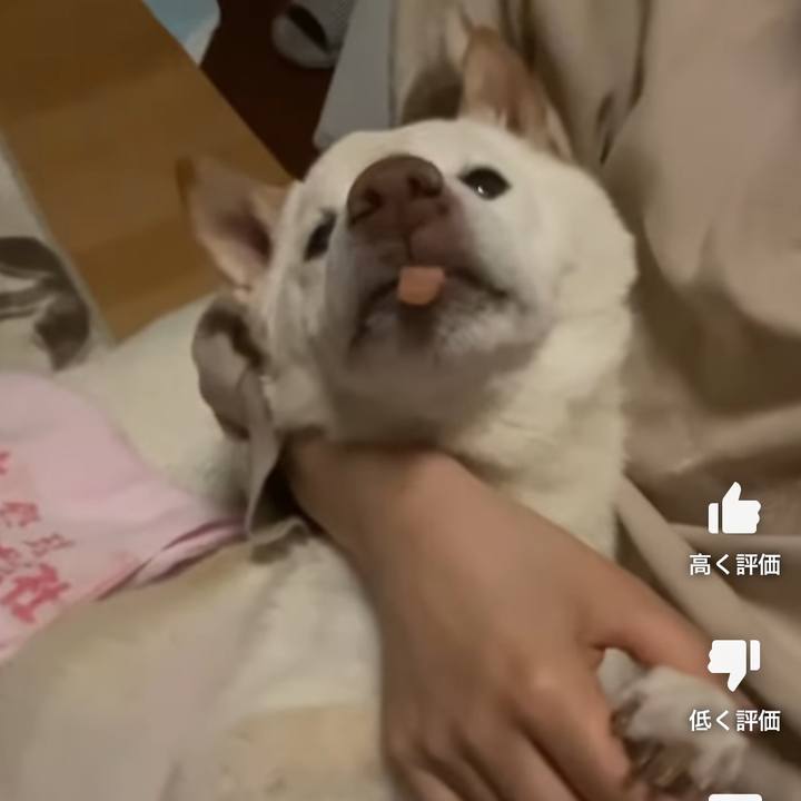 97fb7f0b 4a89 40b6 acc6 68e322b2f1c3 1674072157079