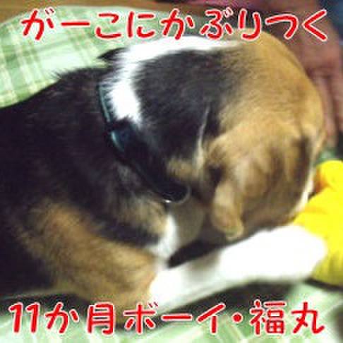 97fba204 10a9 4315 840f d31f42ae83bc 1693777430605