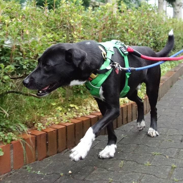 97fbbeef bcb1 4943 b1bd 941372778363 1591869976544