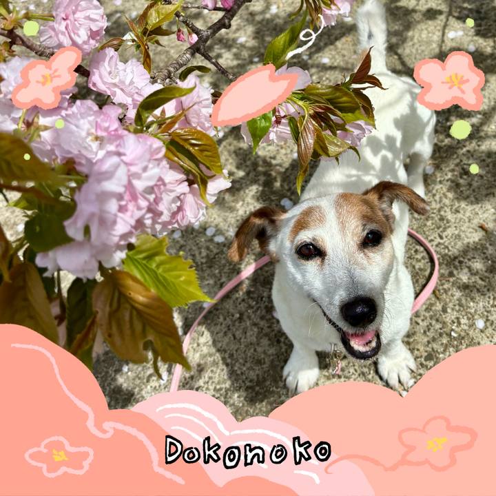 97fbf55b 0395 40af a0c2 ef762832b8d0 1775867706307