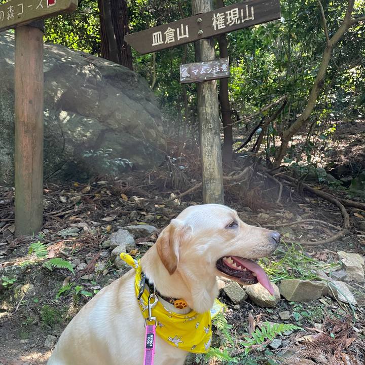 97fbfbd1 3a84 4a30 b799 4b95f308536f 1653139098570