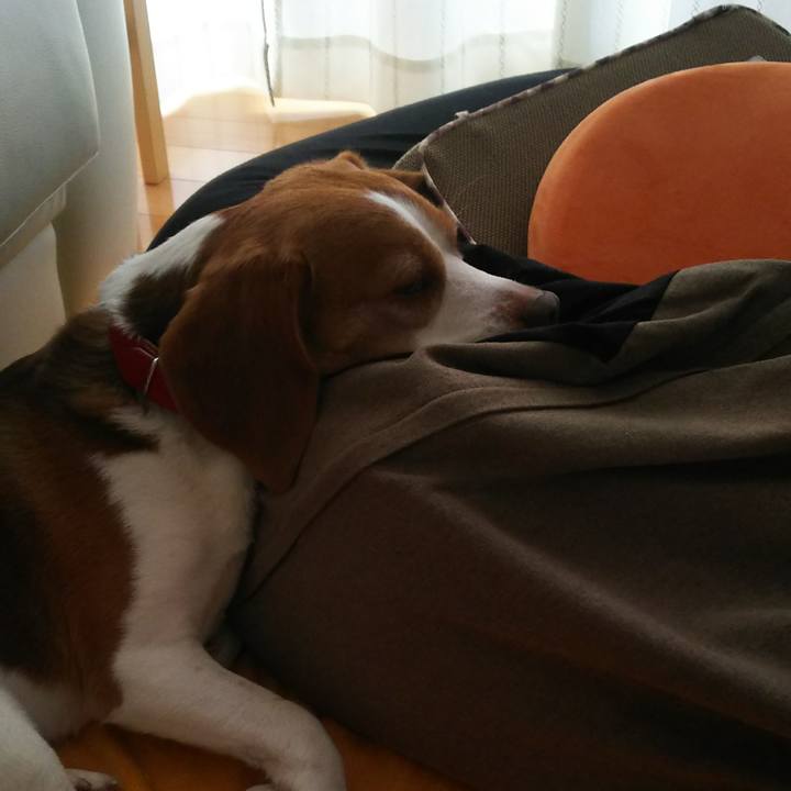 97fc1db4 0c42 4d50 b23e db032ce278a2 1627015073239