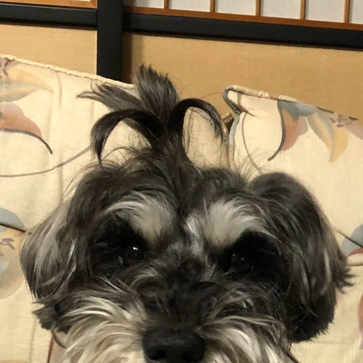 97fc490e 8278 480e 8383 44f35ed18dce 1524319237109