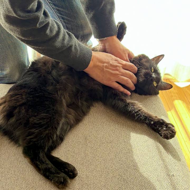 97fc51af 8312 4356 ba45 6dd60fd3b683 1769911537358