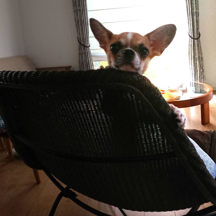 97fc7973 4e8f 4017 9778 33c8f3cb4cf8 1535699794384