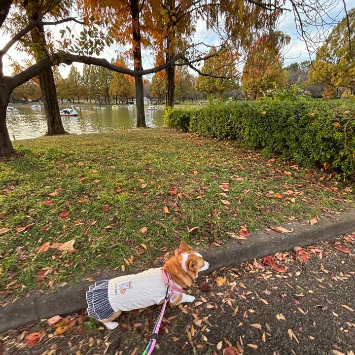 97fc7a46 e483 4bae 8cc7 469a4c2d33cc 1763296092940