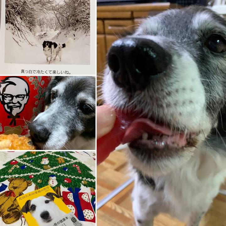 97fc7b8c 680e 4ffe b645 b411a4bb9b0a 1577275878873