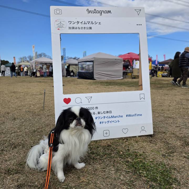 97fcde3b d83f 4f77 83ed 93c41be389ce 1765004781118