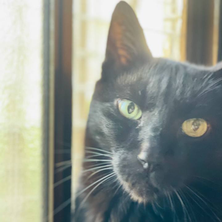 97fcdf80 635d 45f8 885c b0478b5d18a3 1604799436426