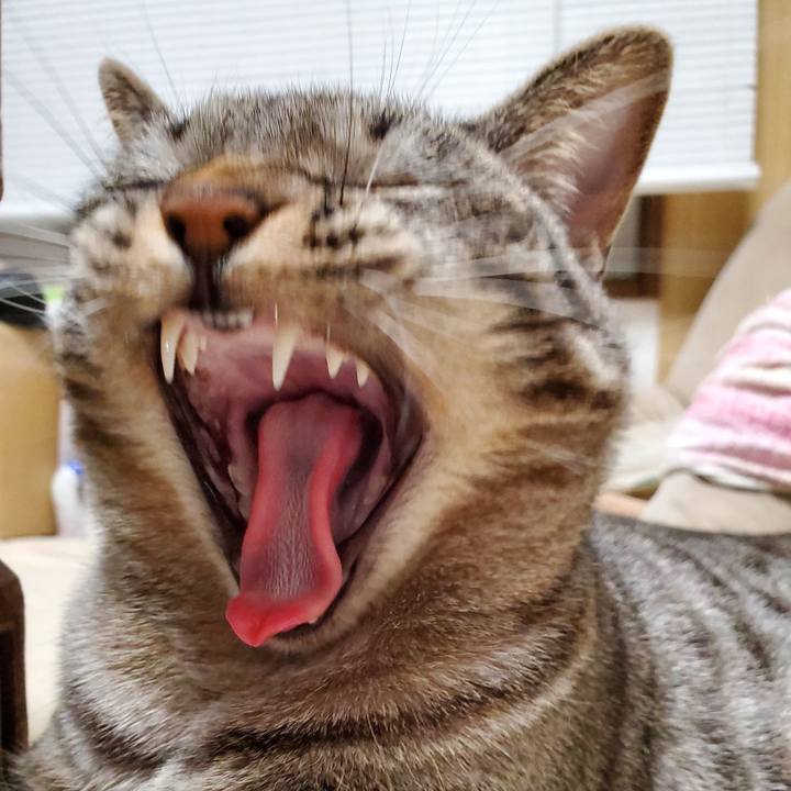 97fcf7bf 731c 429c bfab 3411c0f8fd9a 1704637293012