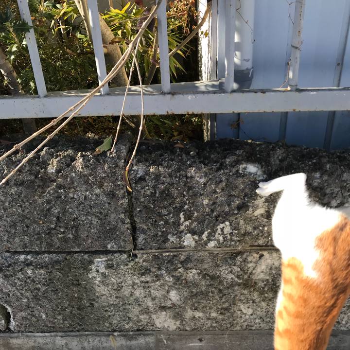 97fd4ae4 d33b 4fcd 8b4f e5b632f75762 1514435425603