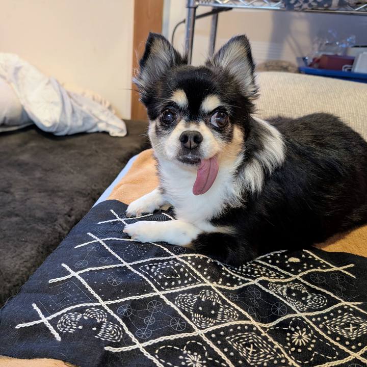 97fd60f3 858f 4ba9 91a5 e9f6797f04ab 1765351638330