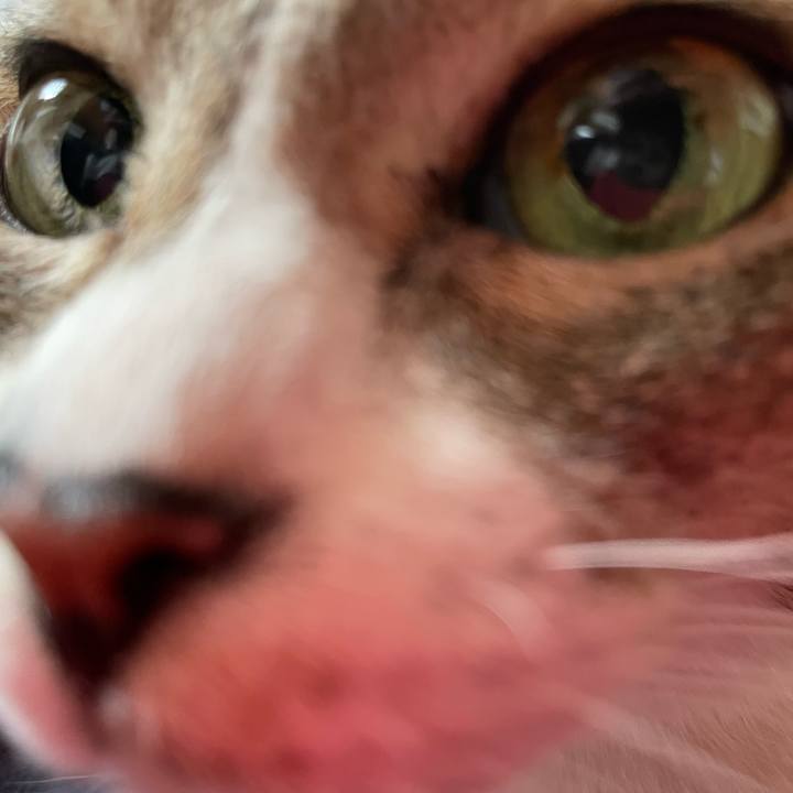 97fd7064 cea9 42b5 87ab e183ed073c49 1636767558556