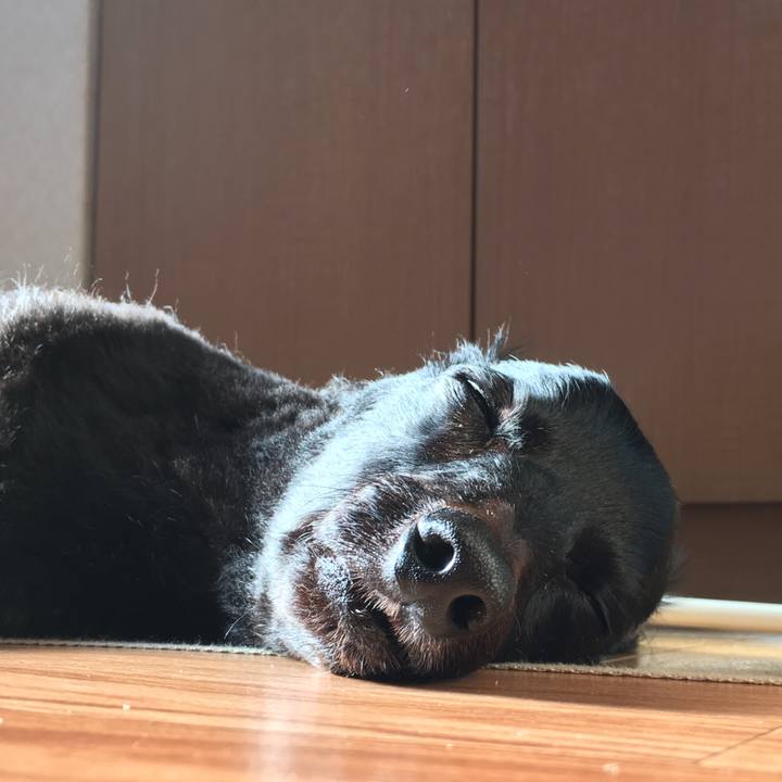 97fd9495 fd58 47f4 84a3 0ee67a7e7d70 1515454290510