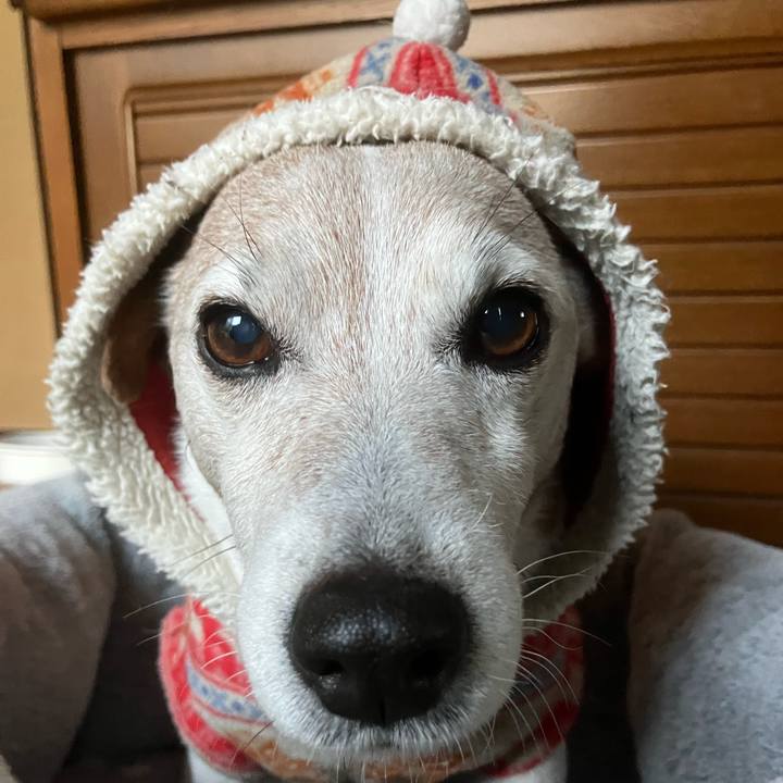 97fdb309 301b 4bae b2bf 85d758b5e32e 1766017645069