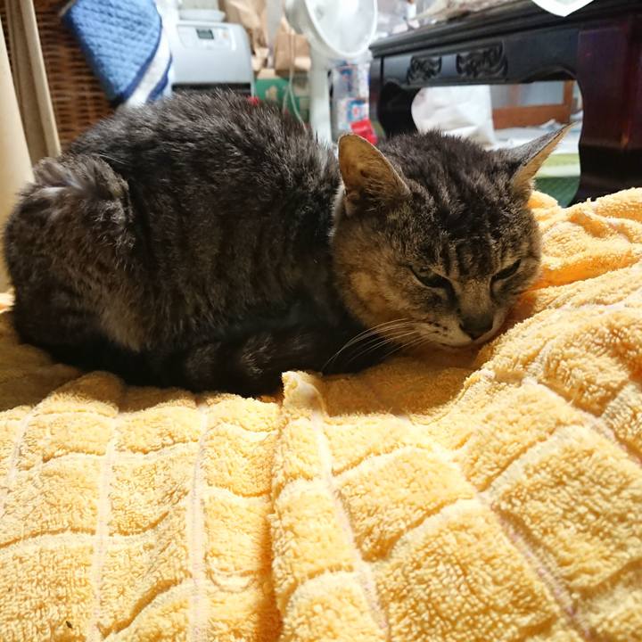 97fdbffb e2aa 4250 8732 4c8d57a136db 1593813532393