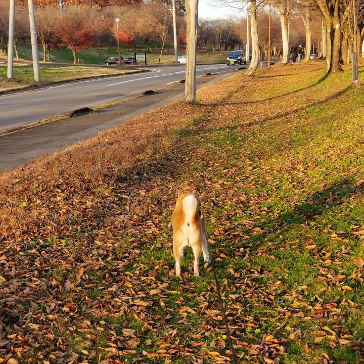 97fddcd9 7a05 4f89 a6e3 3a0900e83ed3 1668841254381