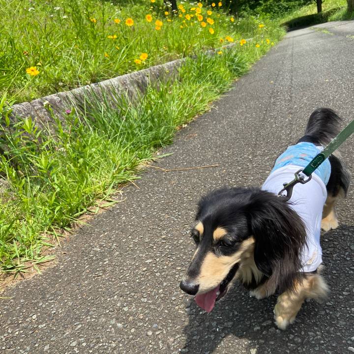 97fde35c 5ca3 43ee b08d b36d66b5d090 1717654064440