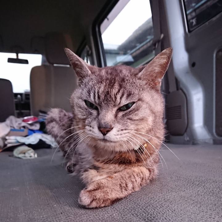 97fdfecb c4f4 499c 8919 4709005663f1 1594290176799