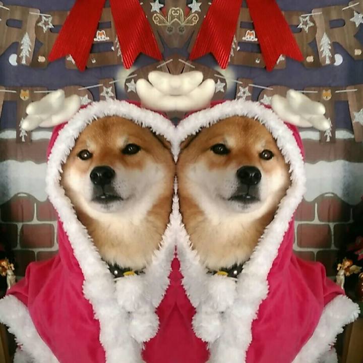 97fe180c 2048 4792 881d a4cb90c021dd 1577190888132