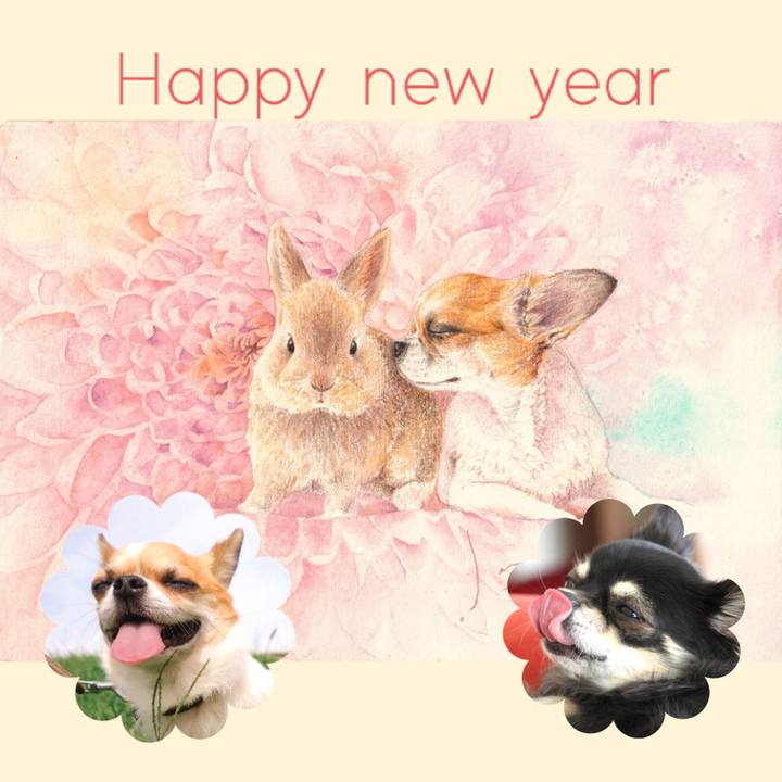 97fe19d5 2bbf 4641 8094 b8c4d2a88616 1672537647915