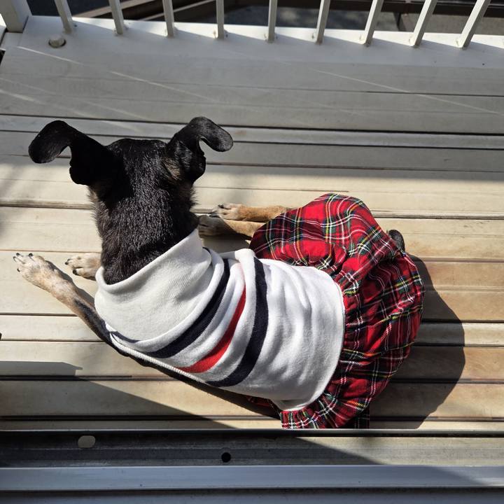 97fe1d70 8137 4424 8bff c9e435376200 1759021701214