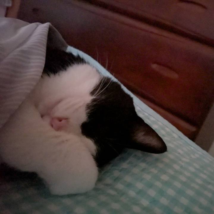 97fe4be3 7de1 437e 9aa6 8e618b6a4d47 1754985305878